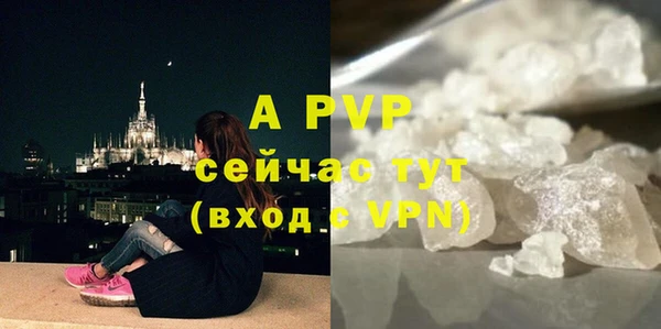 молекула духа Балахна