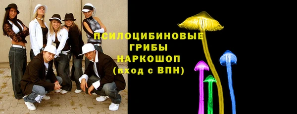 эйфоретик Баксан