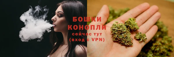 эйфоретик Баксан