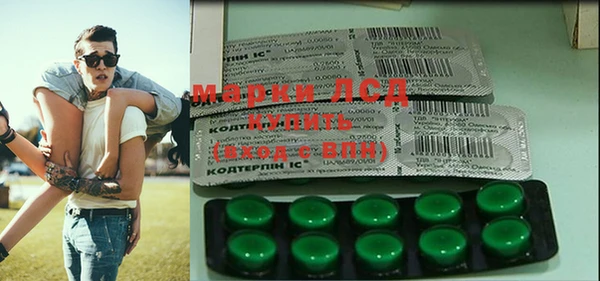 эйфоретик Баксан