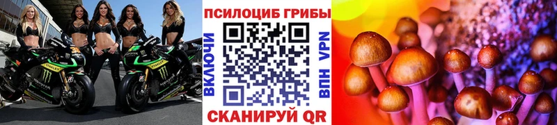 цены наркотик  Таштагол  Псилоцибиновые грибы Cubensis 