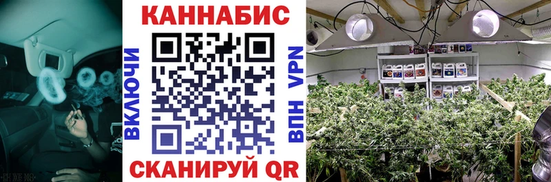 даркнет сайт  Таштагол  Бошки Шишки план 